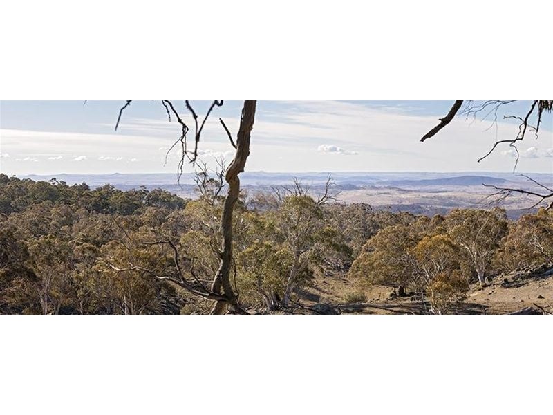 Lot 1 Avonside Road, Jindabyne NSW 2627