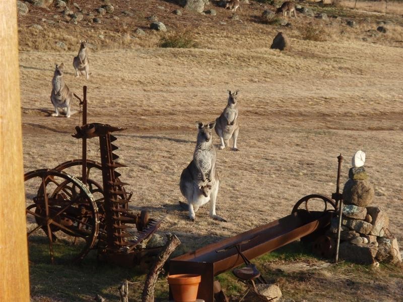 Lot 133 Kosciuszko Road, East Jindabyne NSW 2627