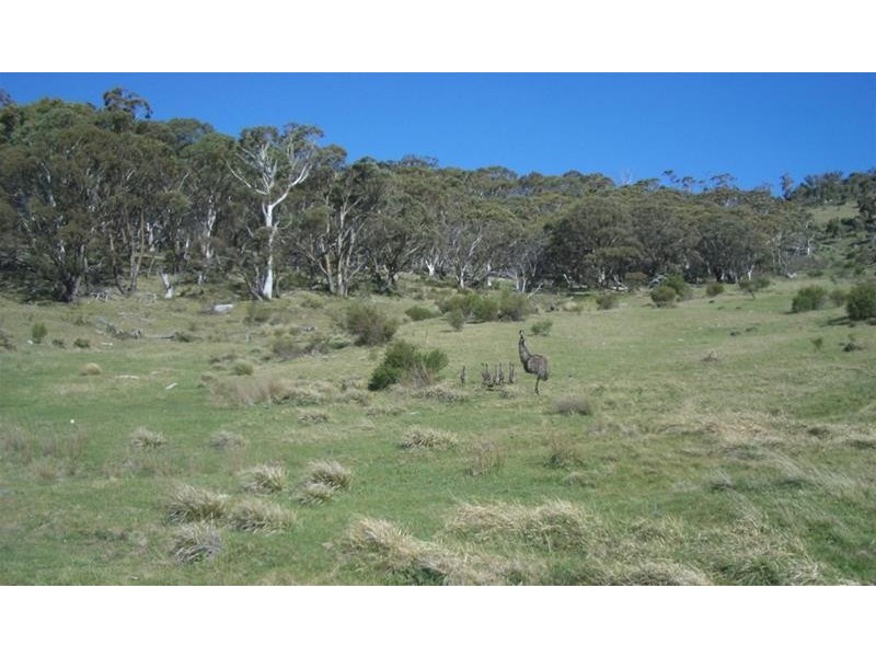 Alpine  Way, Jindabyne NSW 2627