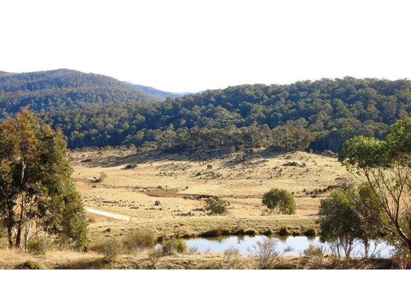 1351 Alpine Way, Jindabyne NSW 2627