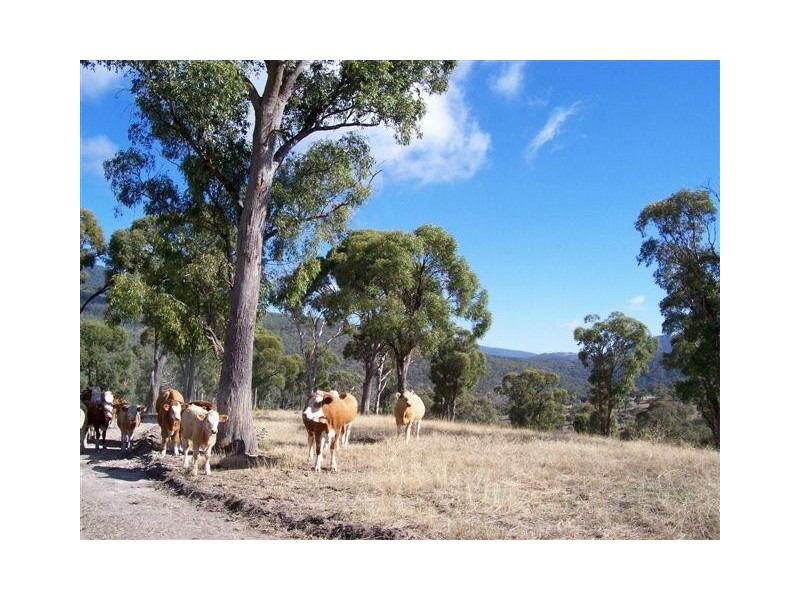 102 Kalkite Road Kalkite Park, Kalkite NSW 2627