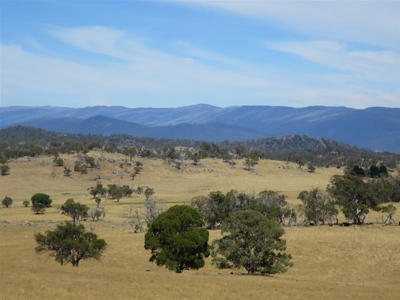 Lot 8 Avonside Road, Avonside NSW 2628