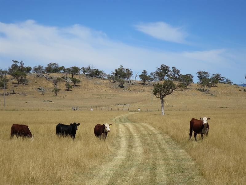 Lot 8 Avonside Road, Avonside NSW 2628