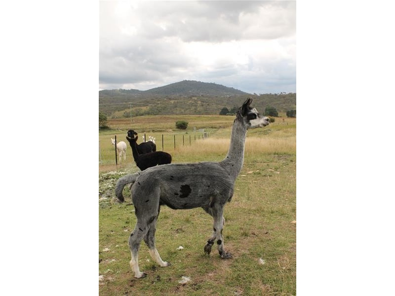 2 River Run, Jindabyne NSW 2627