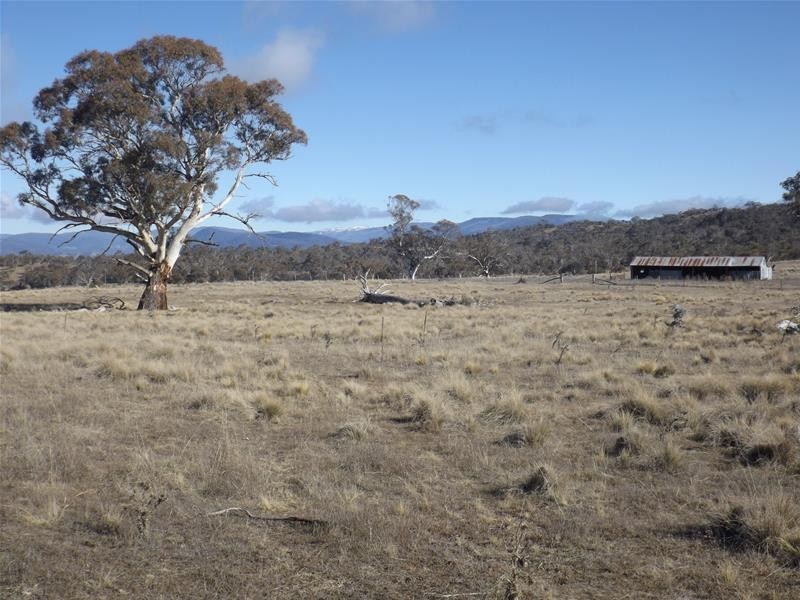 Lot 1 Tirrike Lane, Jindabyne NSW 2627