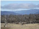 Lot 1 Tirrike Lane, Jindabyne NSW 2627