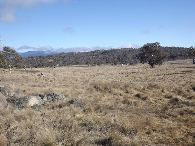 Lot 1 Tirrike Lane, Jindabyne NSW 2627