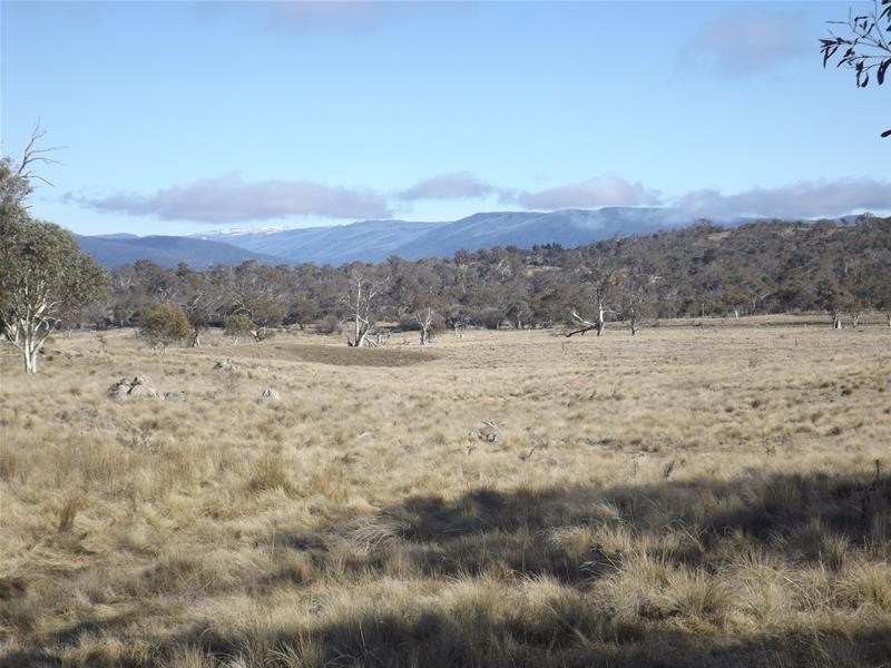 Lot 1 Tirrike Lane, Jindabyne NSW 2627