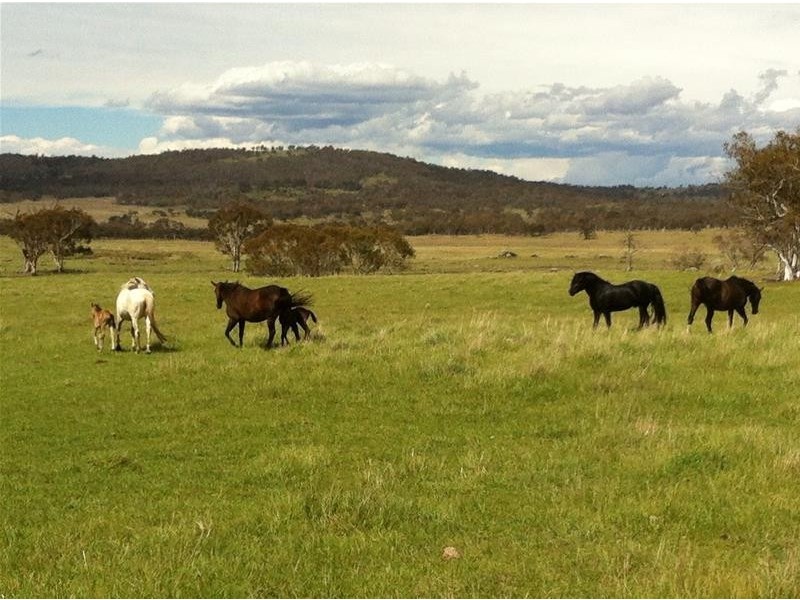 59 Tirrike  Lane, Jindabyne NSW 2627