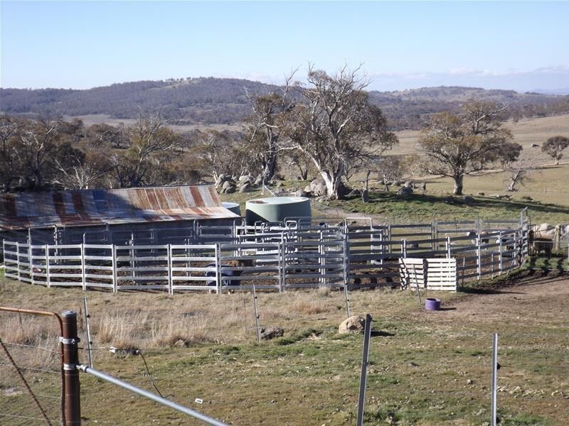 59 Tirrike  Lane, Jindabyne NSW 2627