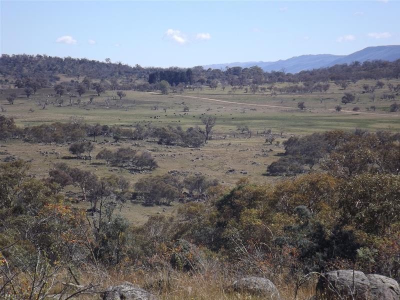 Lot 6/115 Hilltop Road, Jindabyne NSW 2627
