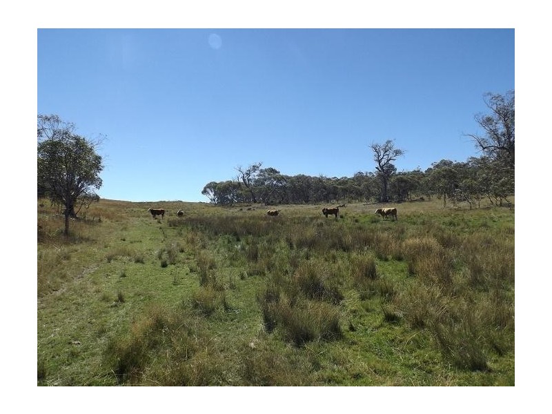 Lot 4/115 Hilltop Road, Jindabyne NSW 2627