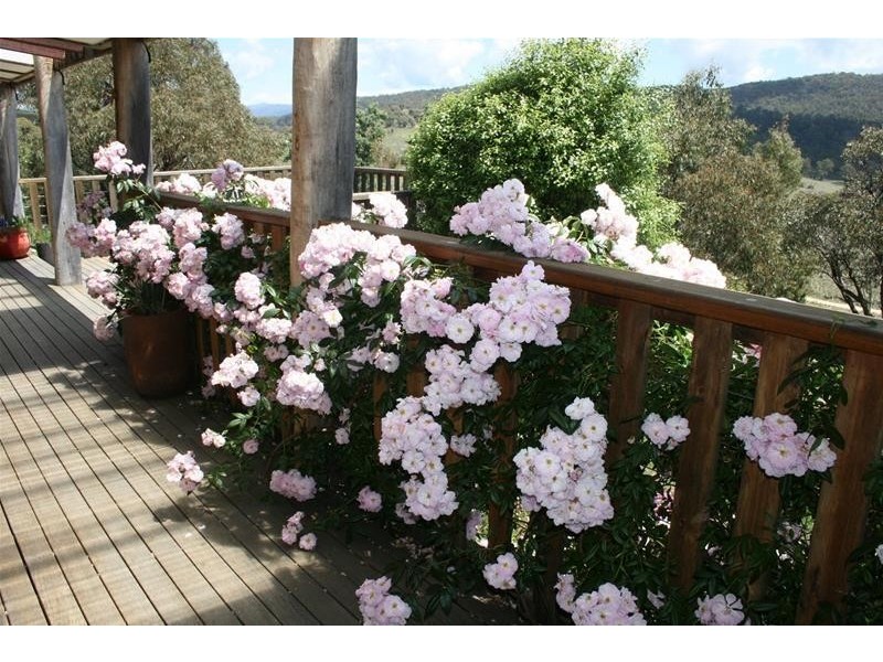 1539 Gullies Road, Jindabyne NSW 2627