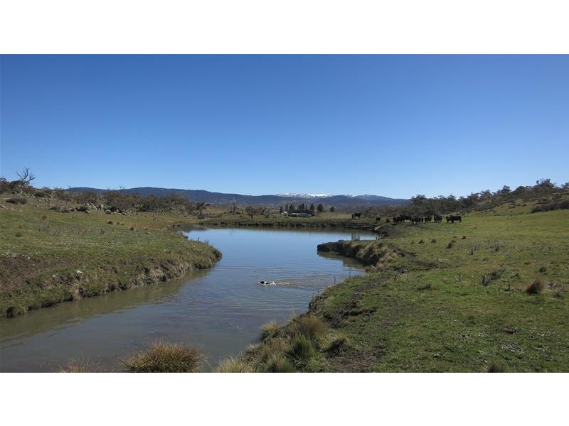 Lot 5, Lot 5 Snowy River Way, Jindabyne NSW 2627