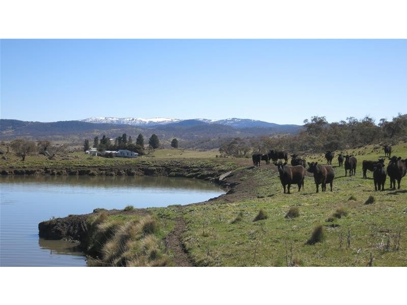 Lot 5, Lot 5 Snowy River Way, Jindabyne NSW 2627