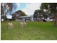 173 Fala Park Road, Warrnambool VIC 3280