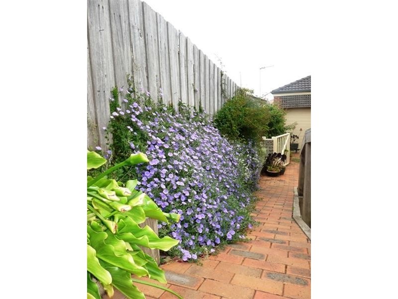 30 Breton Street, Warrnambool VIC 3280