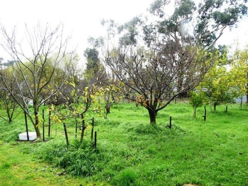 58 Austin Street, Hawkesdale VIC 3287