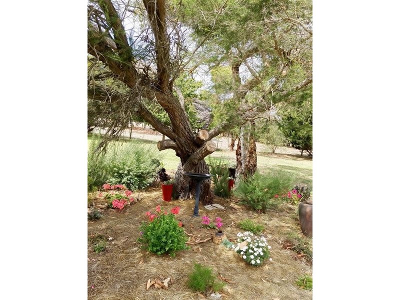 265 Allansford – Wangoom Road, Wangoom VIC 3279