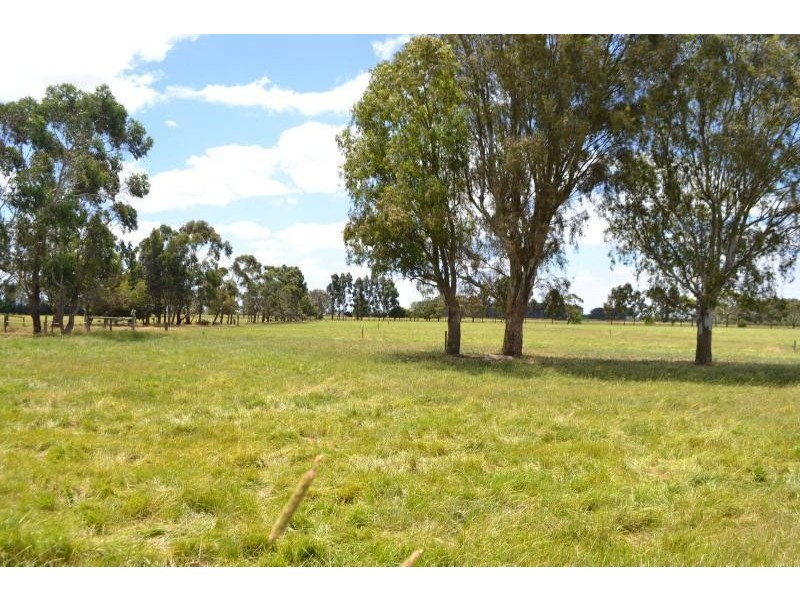 34 Black Street, Terang VIC 3264