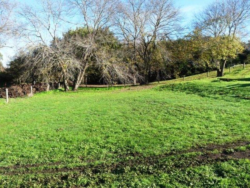 1-2 Neil Avenue, Terang VIC 3264