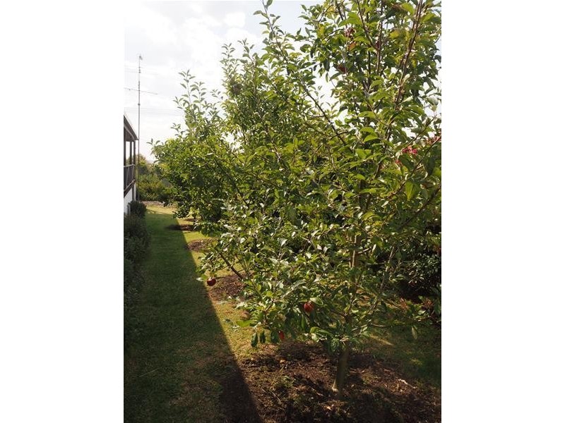 105 Grey Street, Terang VIC 3264