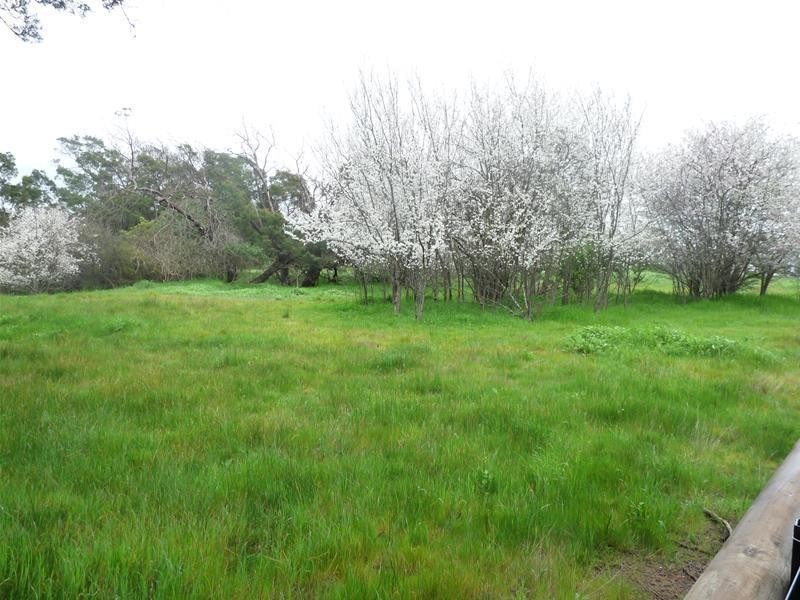 3 4, 5, 6 & 7 Wyndham Street, Branxholme VIC 3302