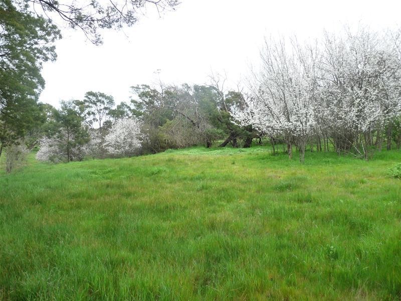 3 4, 5, 6 & 7 Wyndham Street, Branxholme VIC 3302