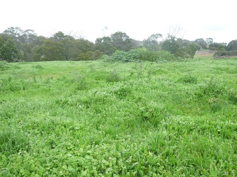 3 4, 5, 6 & 7 Wyndham Street, Branxholme VIC 3302