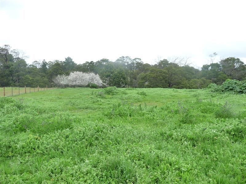 3 4, 5, 6 & 7 Wyndham Street, Branxholme VIC 3302