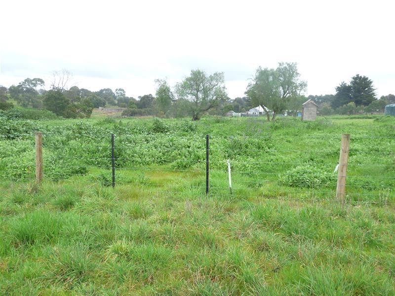 3 4, 5, 6 & 7 Wyndham Street, Branxholme VIC 3302