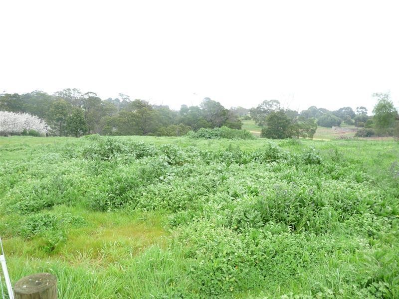 3 4, 5, 6 & 7 Wyndham Street, Branxholme VIC 3302