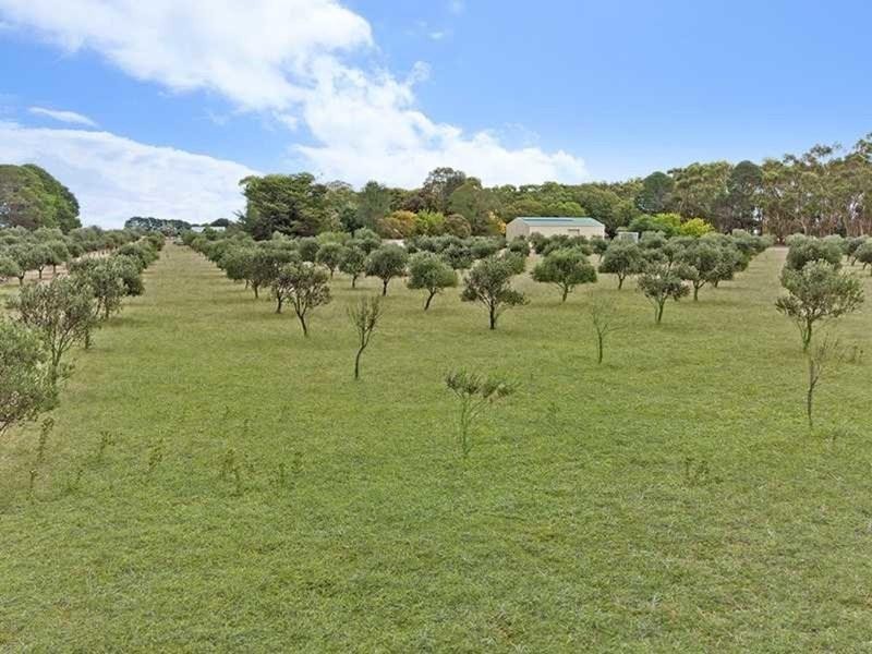 445 Burchetts Lane, Caramut VIC 3274