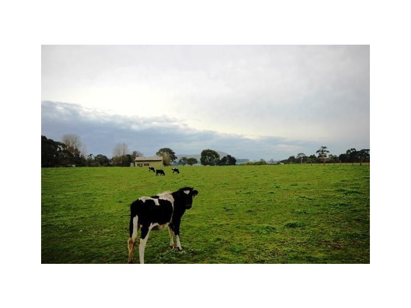 72 Mill Street, Mortlake VIC 3272