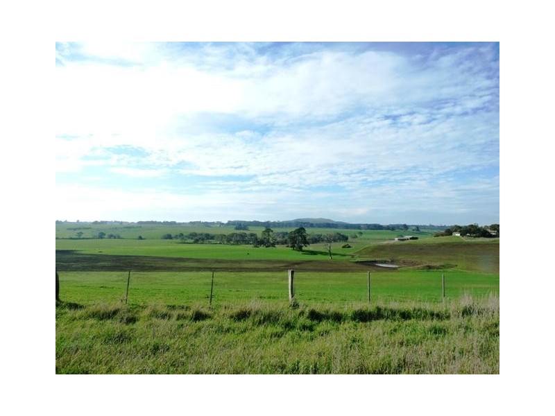 35 Hopkins Falls Road, Panmure VIC 3265