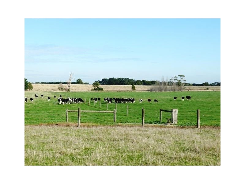 35 Hopkins Falls Road, Panmure VIC 3265