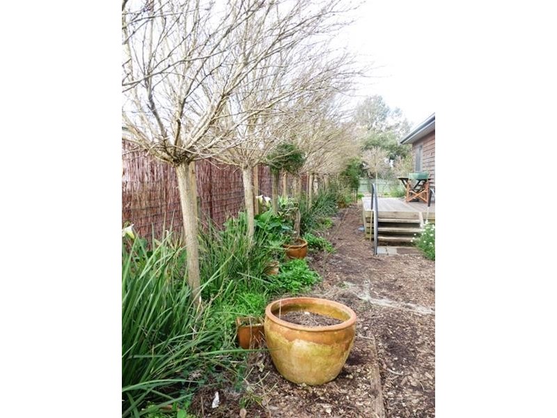 93 Webster Street, Mortlake VIC 3272