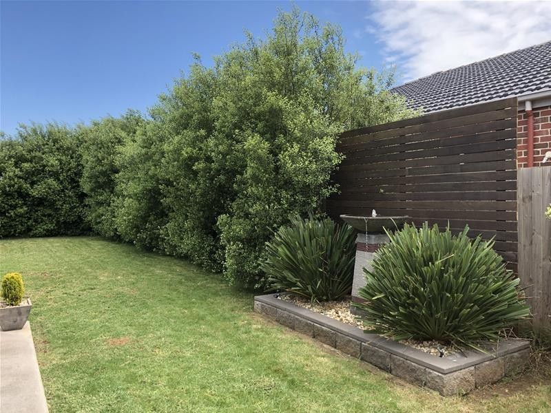 10 Wells Street, Warrnambool VIC 3280