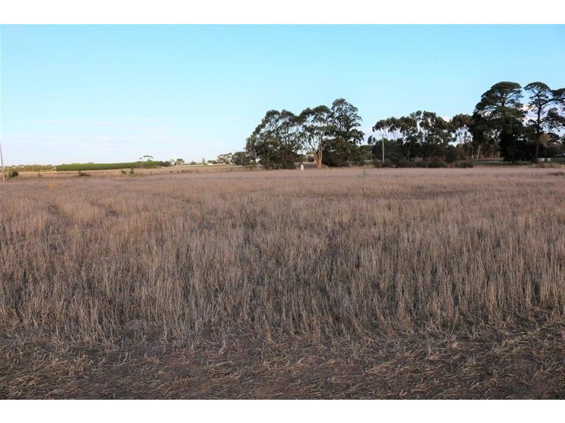 Crown Allotments/2 & 3 Carmichael Street, Woolsthorpe VIC 3276