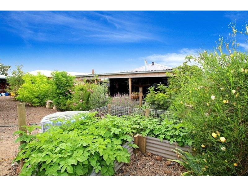 71 Swanston Street, Terang VIC 3264