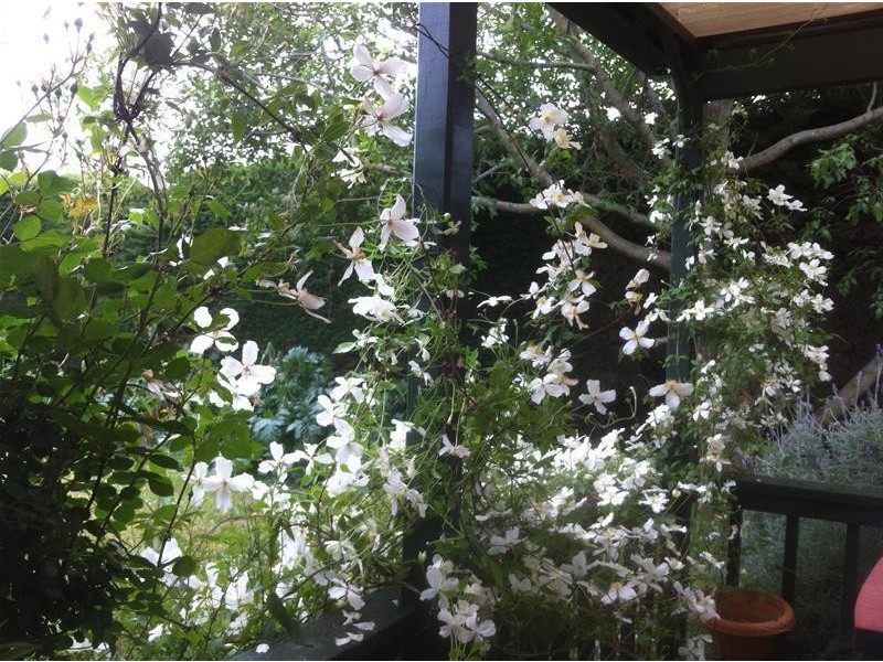 217 Koroit – Port Fairy Road, Crossley VIC 3283