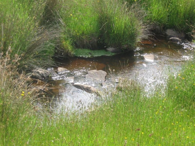 268 Arve  Road, Geeveston TAS 7116