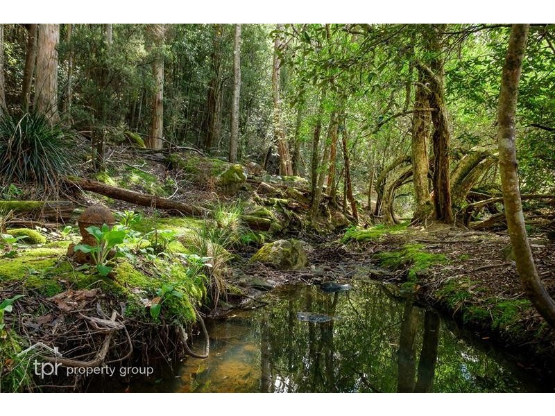 122 Waggs Gully Road, Ranelagh TAS 7109