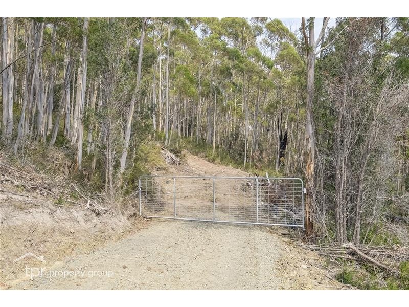172 Goodwins Road, Upper Woodstock TAS 7150