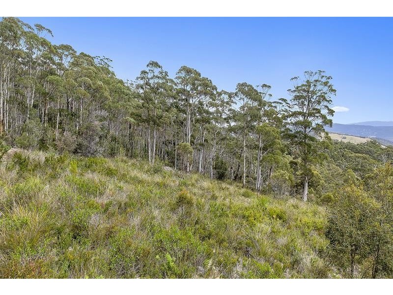 172 Goodwins Road, Upper Woodstock TAS 7150