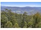 172 Goodwins Road, Upper Woodstock TAS 7150