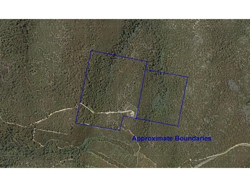 172 Goodwins Road, Upper Woodstock TAS 7150