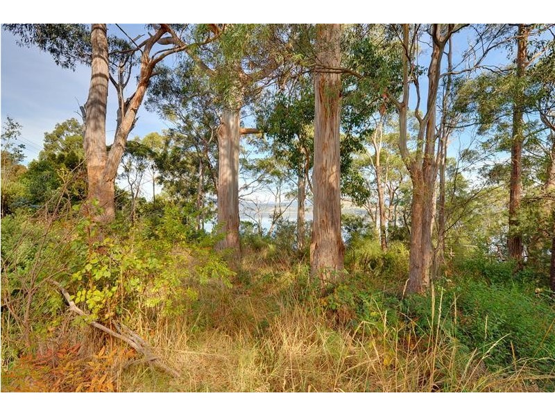 1-1345 Cygnet Coast Road, Lower Wattle Grove TAS 7109