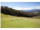239 Dowlings Road, Huonville TAS 7109