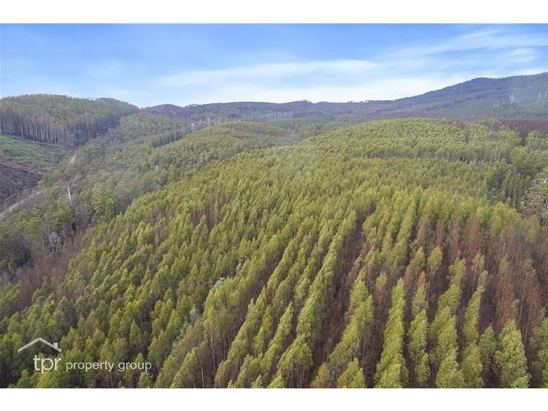 1 Oigles Road, Geeveston TAS 7116